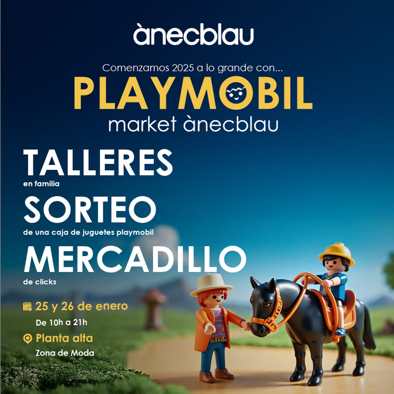 ENERO DE PLAYMOBIL